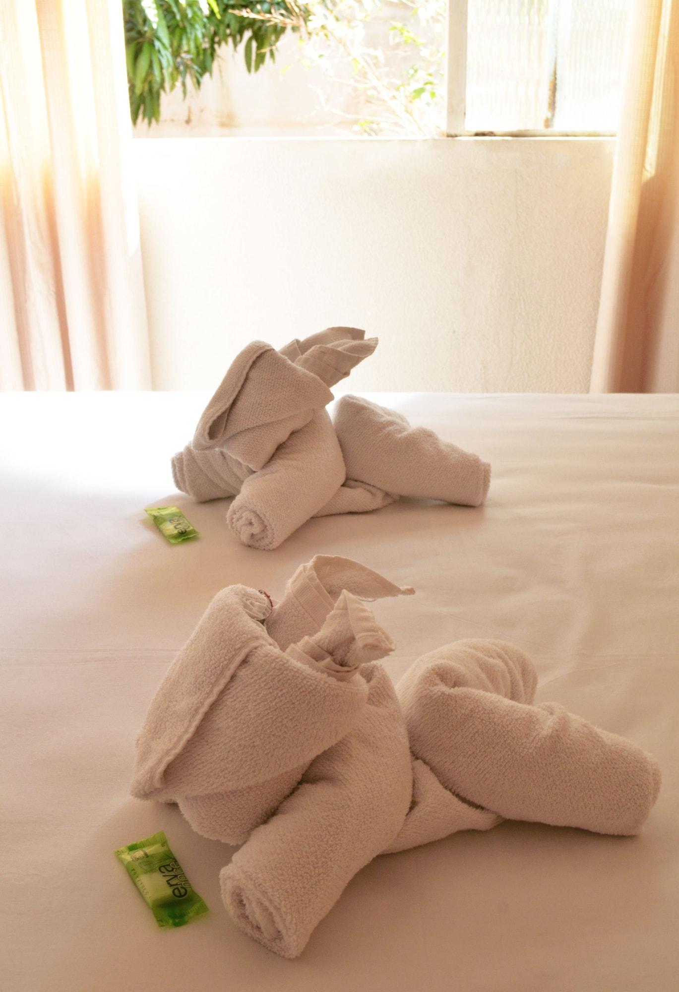 Iguacu Plaza Hotel فوز دو إيغواسو المظهر الخارجي الصورة